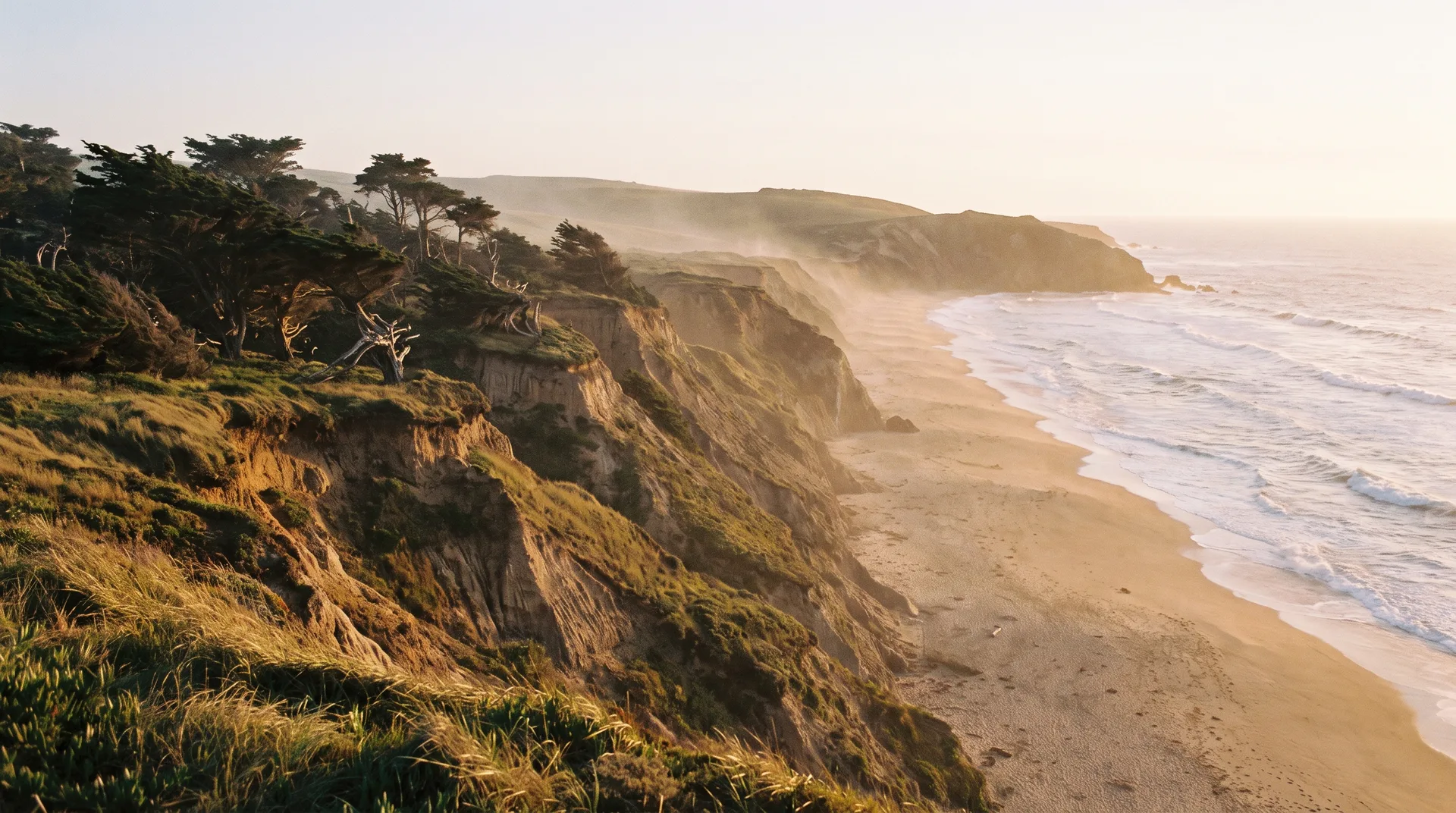 Coastal bluffs of Point Reyes.